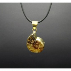 Colgante Pequeo Ammonite de Bronce