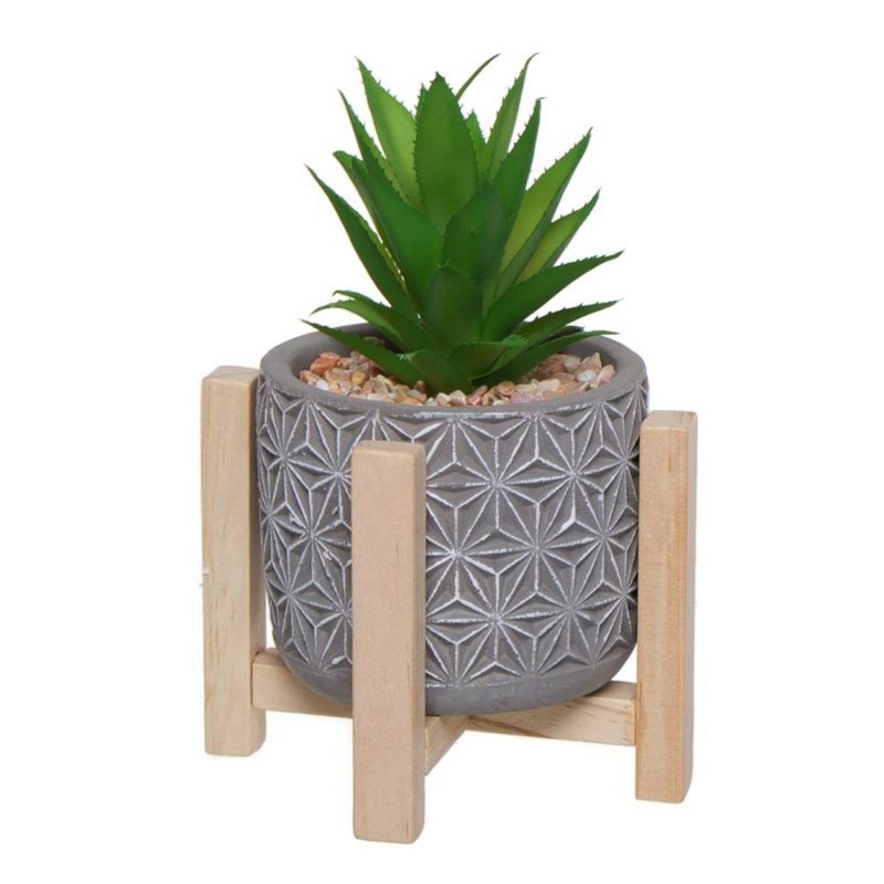 Maceta con Cactus Base Madera 21 cm