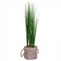 Planta Decorativa Grass en Maceta 44 cm