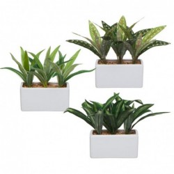 Planta Decorativa x3 Modelos en Maceta Madera 24 cm